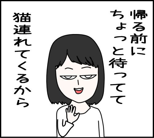 猫と遊べるはずが、地獄だった14