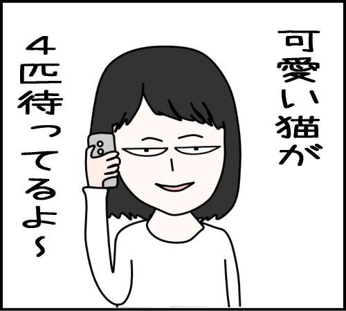 猫と遊べるはずが、地獄だった03