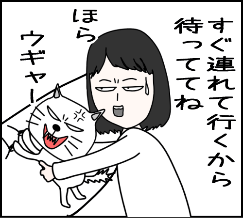 猫と遊べるはずが、地獄だった15