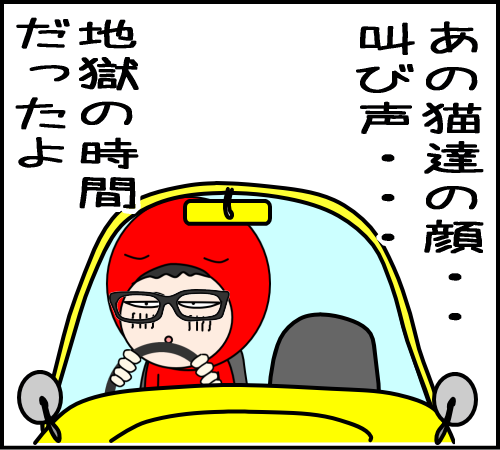 猫と遊べるはずが、地獄だった23