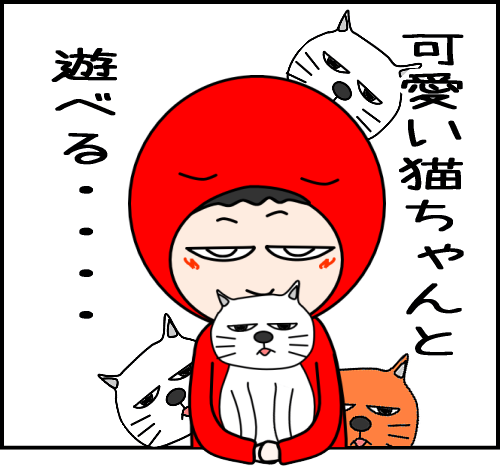 猫と遊べるはずが、地獄だった05