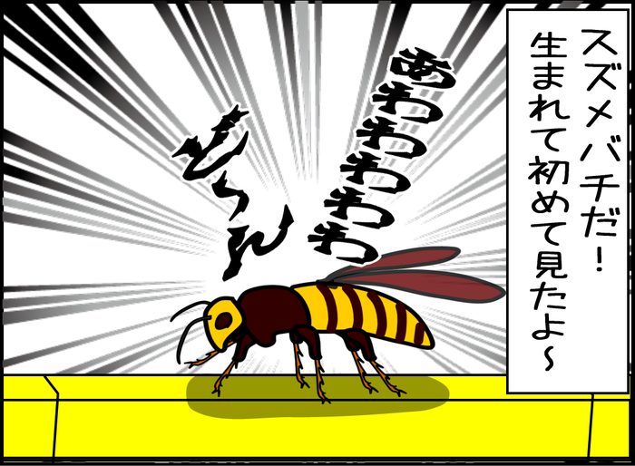 殺人バチとの死闘1-05