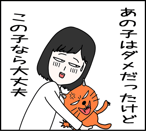 猫と遊べるはずが、地獄だった19