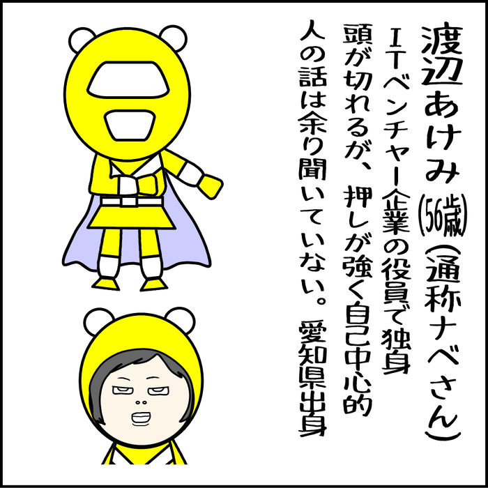 Pガールズ戦隊ヒロインのプロフィール