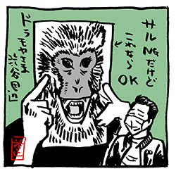 moya-sibu-saru00