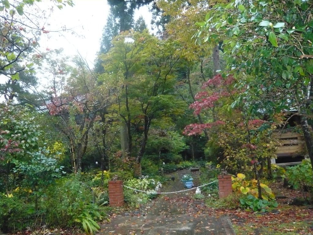 我が家の秋景色 山荘だより 我が家の秋景色 山荘だより