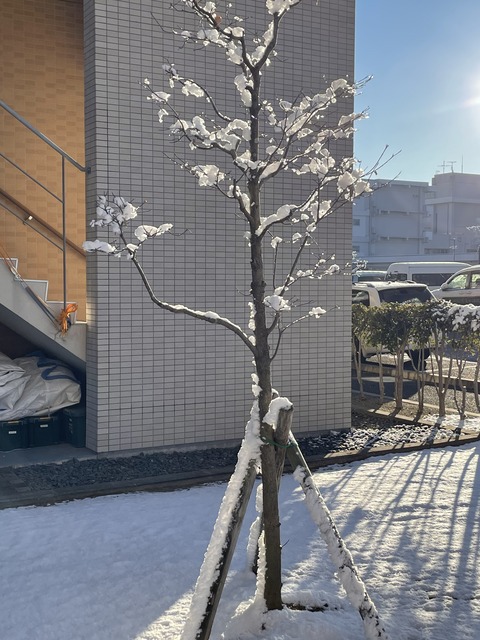 8467CA9C-7C03-4C1F-8F1A-E7F0B6FD4A0C