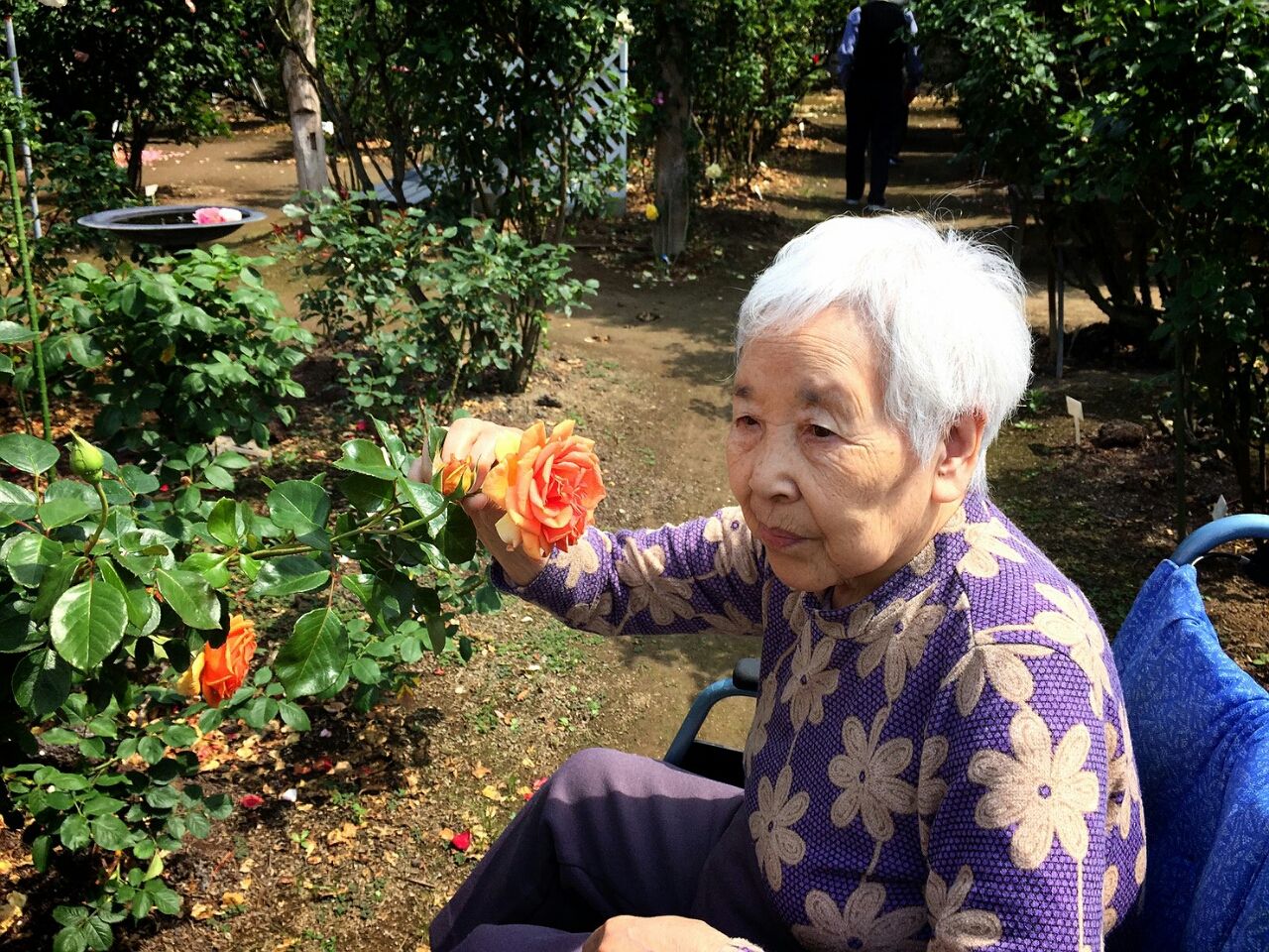 駅前デイ ばら園 あじさい壁画 花みづきグループ スタッフblog