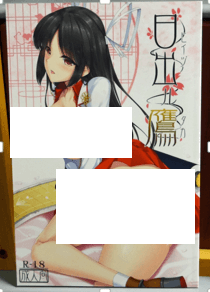 hiyouhon