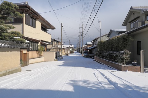 H1002019 (2)