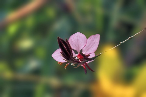 PA010012
