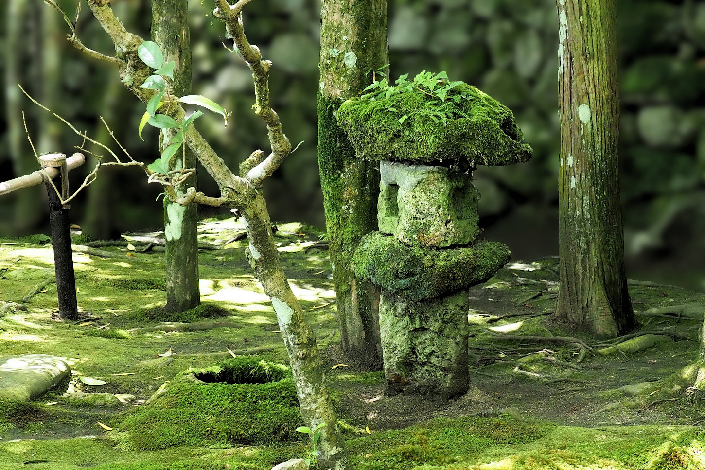 自然石灯篭・野竹林風石灯篭 苔と石灯篭（旧竹林院） : 湖都の四季彩