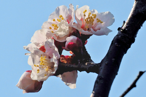 P3150197