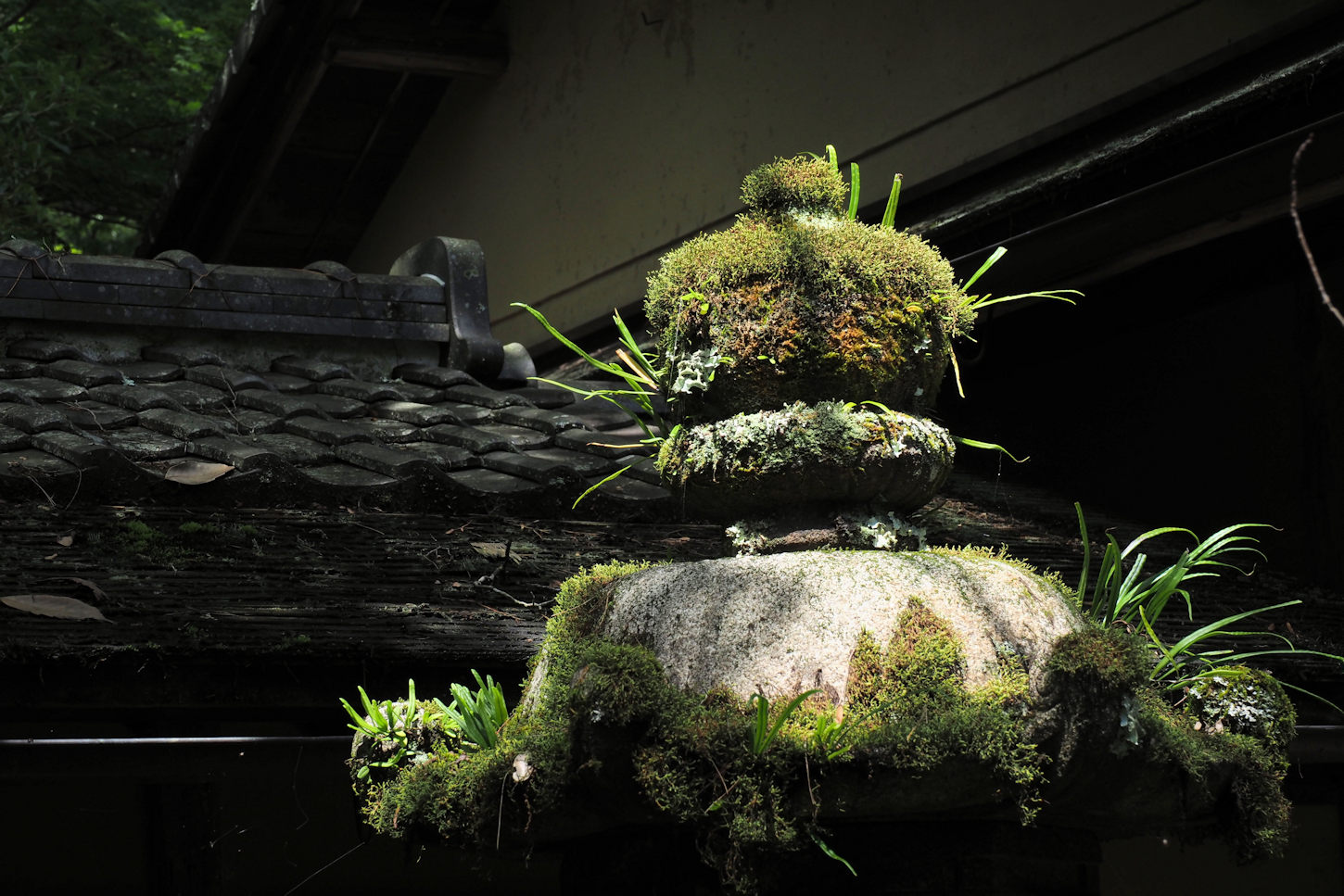 苔と石灯篭（旧竹林院） : 湖都の四季彩