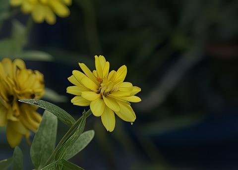 H1005470 (1)