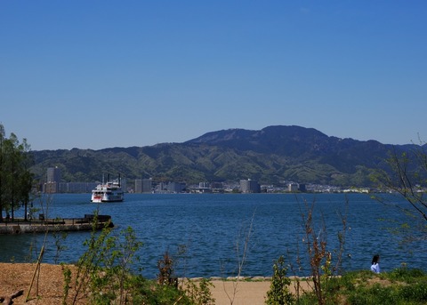 H1003569