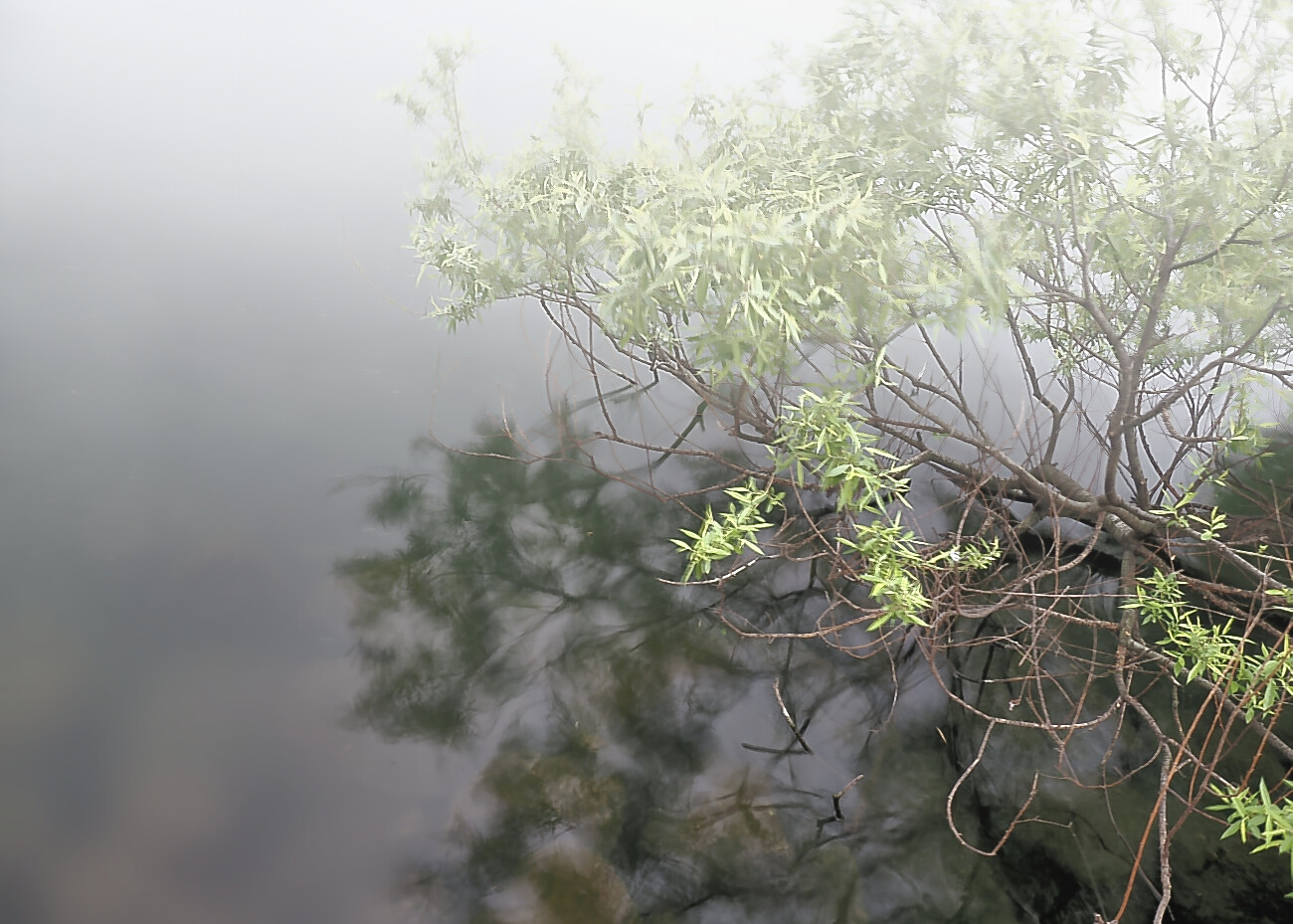 春霞の湖畔 : 湖都の四季彩