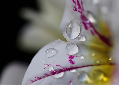 P7280072
