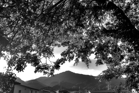 P9240039m 2022_09_04