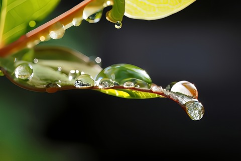 P5270021