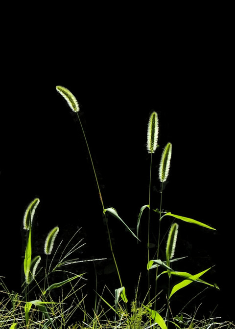 P8280008