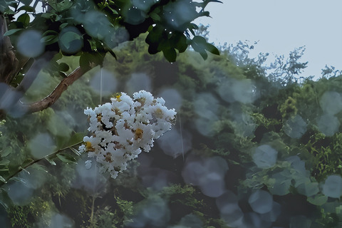 P9040645