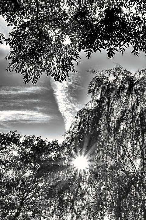 P9250017m 2022_09_25