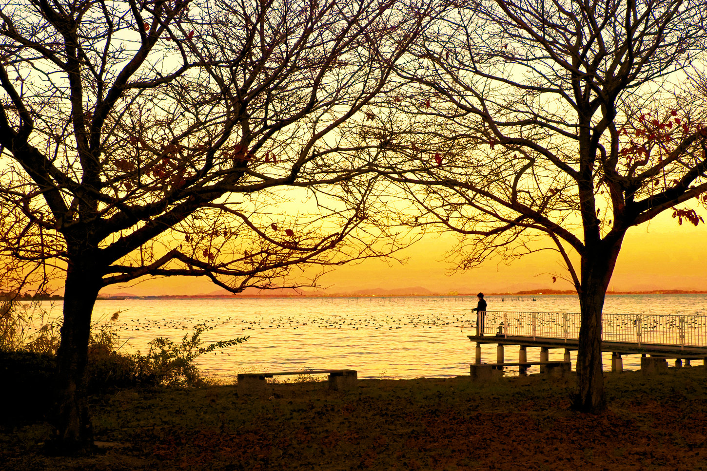 びわ湖 志津ヶ浜の夕暮れ 湖都の四季彩 びわ湖 志津ヶ浜の夕暮れ 湖都の四季彩