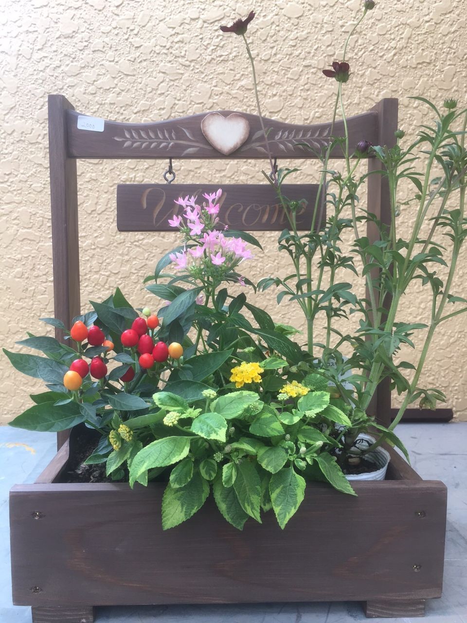 フラワーワゴン登場 花の店 葉音 フラワーワゴン登場 花の店 葉音