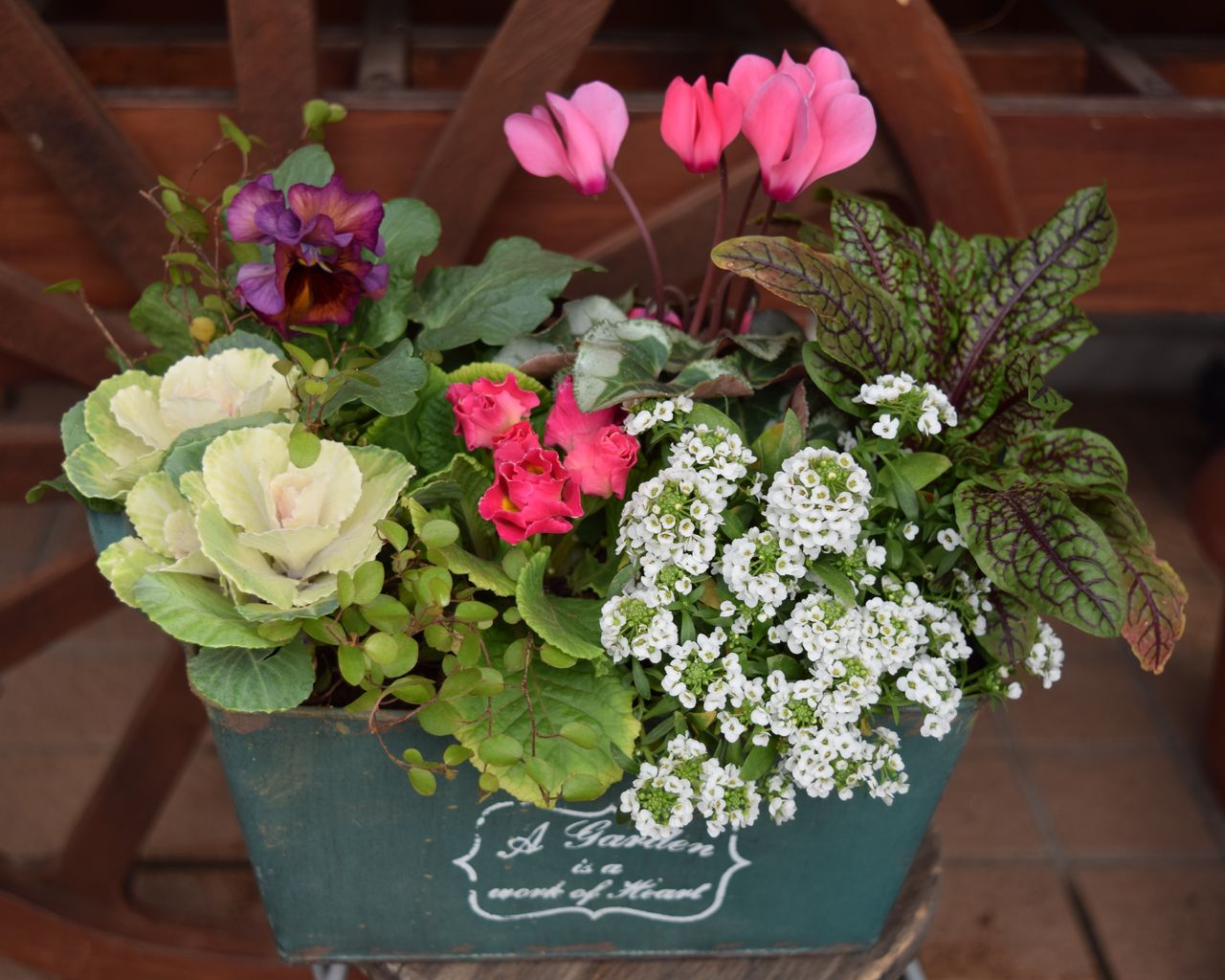 お正月飾りと寄せ植えのご紹介 花の店 葉音 お正月飾りと寄せ植えのご紹介 花の店 葉音