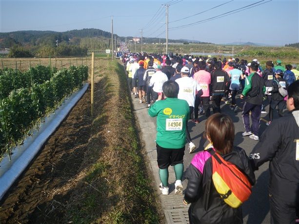 IMGP0104_R