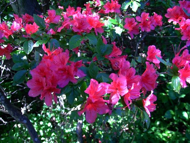 DSCF7363_R