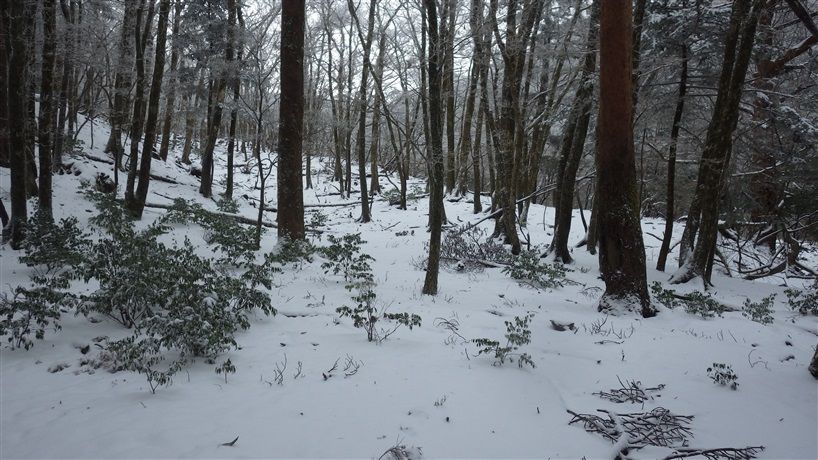 IMGP0496_R