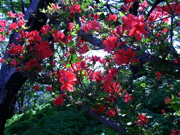 DSCF7361_R