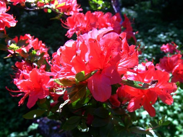DSCF7359_R