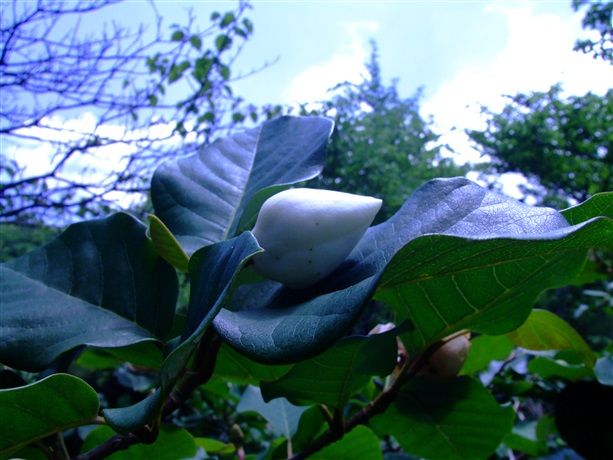 DSCF7368_R