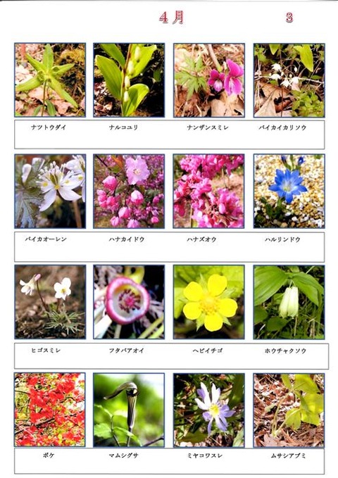 Ｓ　４月 (3)