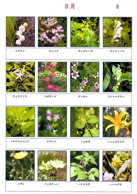 Ｓ　５月 (3)