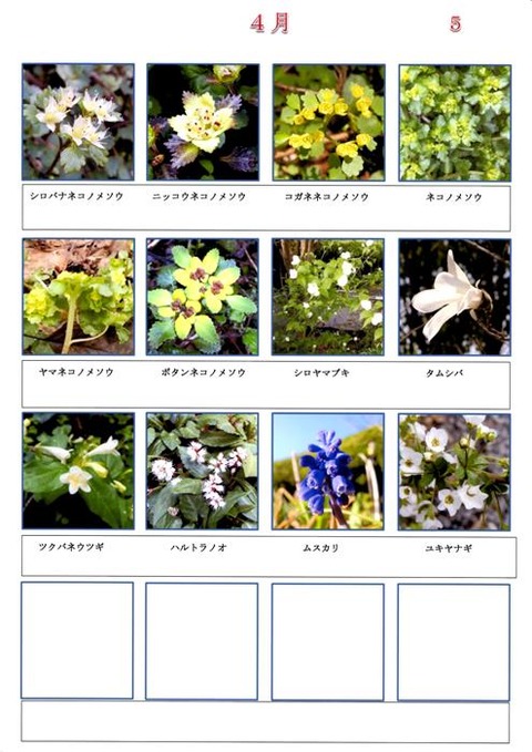 Ｓ　４月　（５）　２０１８１２改訂