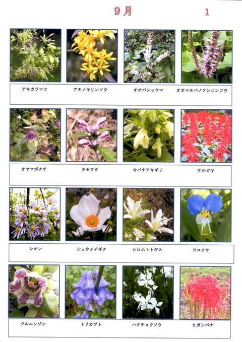 Ｓ　９月　 (1)