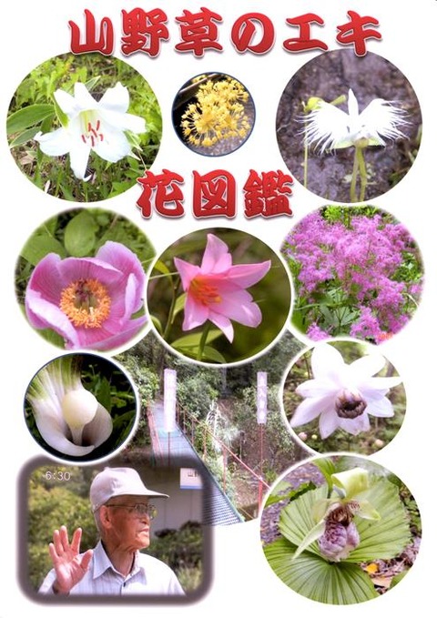 山野草のエキ　花図鑑　表紙