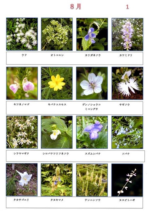Ｓ　８月　 (1)