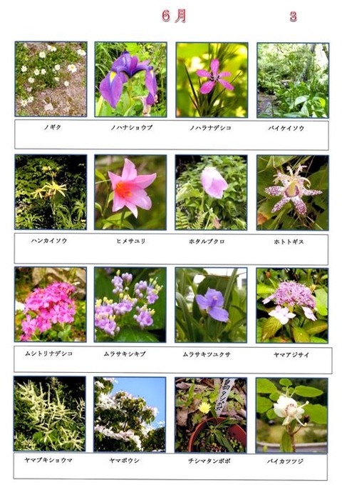 Ｓ　６月　（３）　２０１８１２改訂