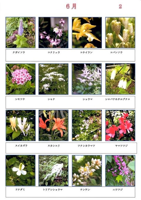 Ｓ　６月  (2)