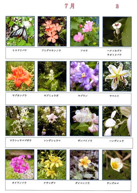 Ｓ　７月　（３）２０１８１２改訂