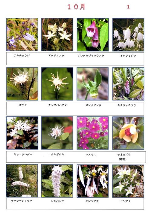 Ｓ　１０月　 (1)