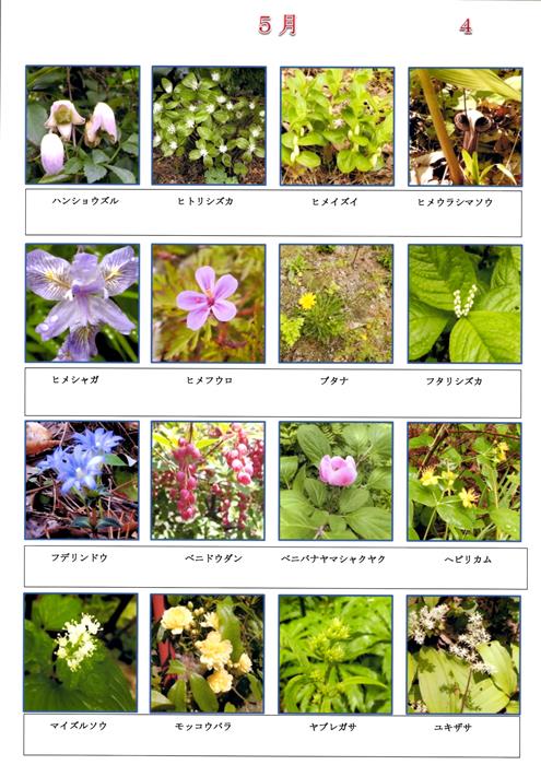 有名人芸能人 花図鑑 野草 本 Hlt No 有名人芸能人 花図鑑 野草 本 Hlt No