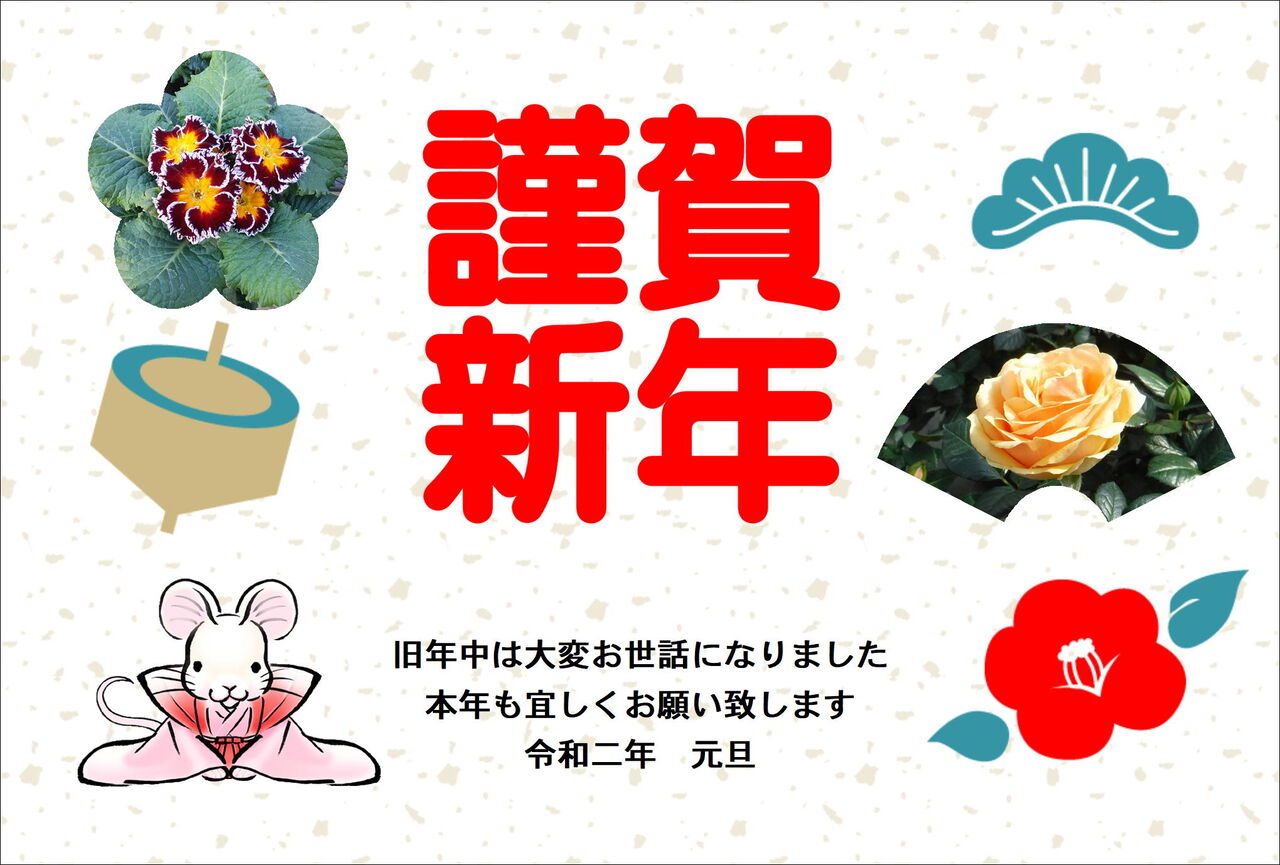 本年最初の花苗情報 今年もよろしくお願いします Hananoumi Farm Kodamaのblog 本年最初の花苗情報 今年もよろしくお願いします Hananoumi Farm Kodamaのblog