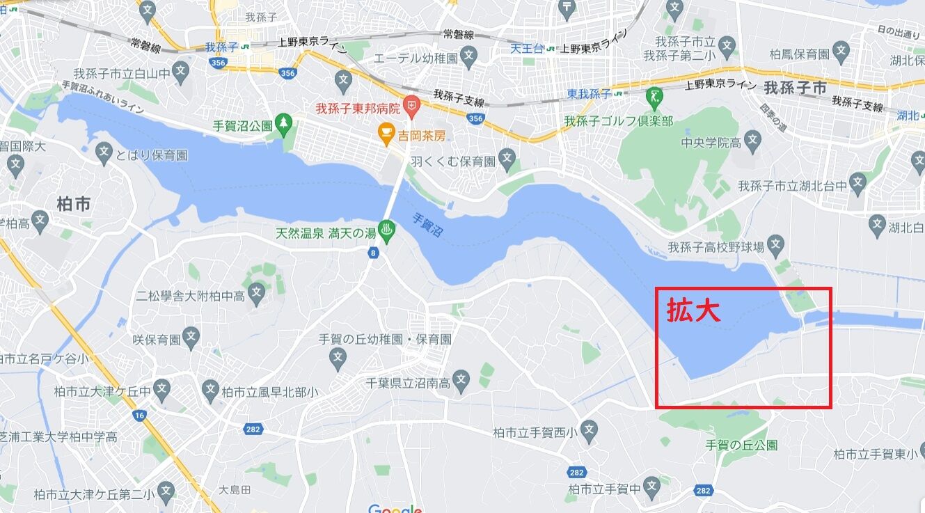 手賀沼のトトロ ハナぽんのランニング日記