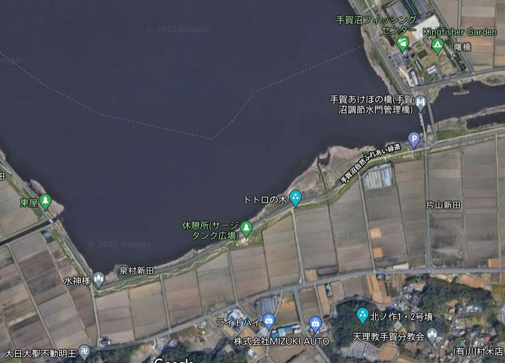 手賀沼のトトロ ハナぽんのランニング日記